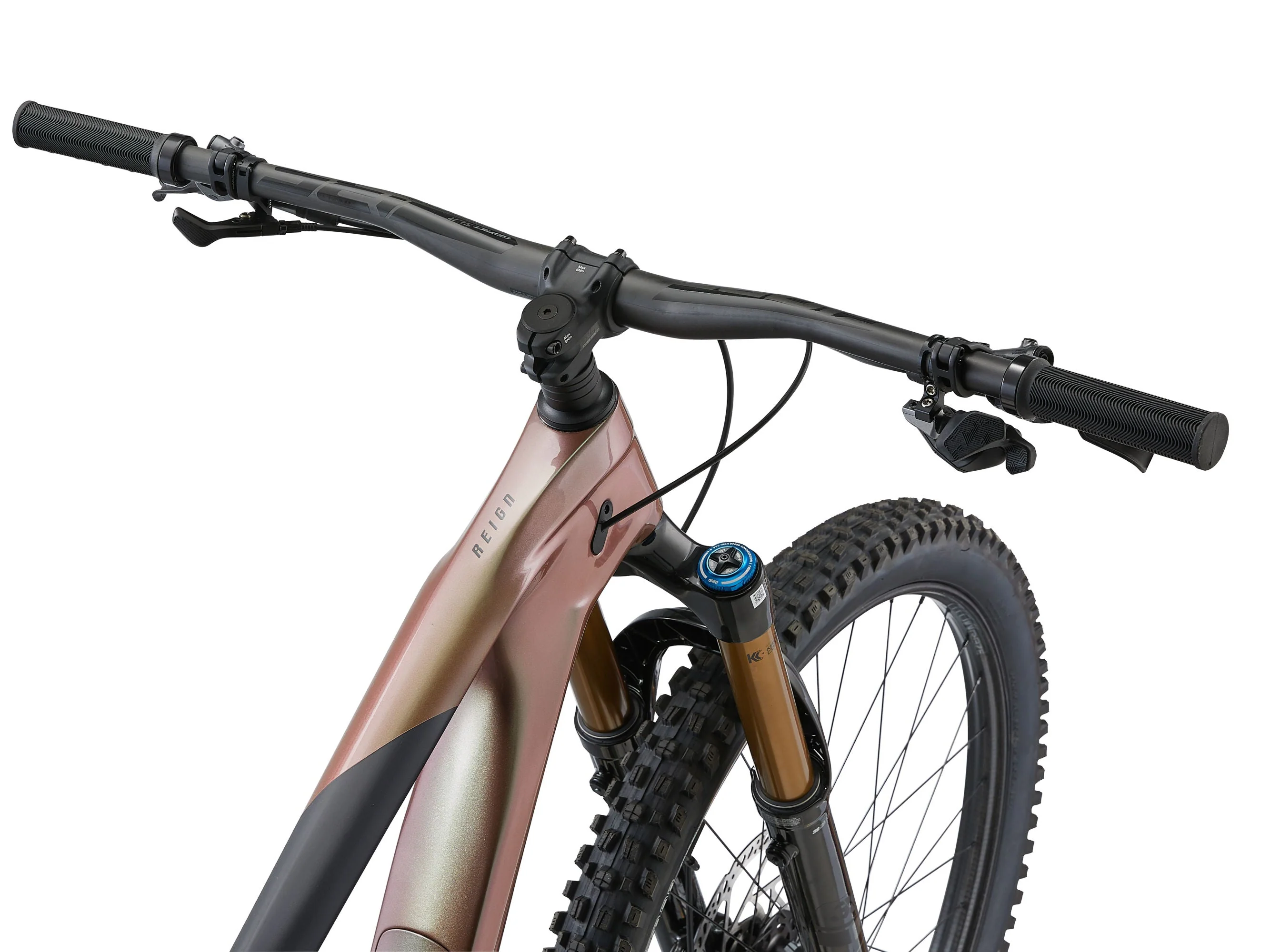 Giant Reign Advanced Pro 0 - Messier/Carbon - Image 5