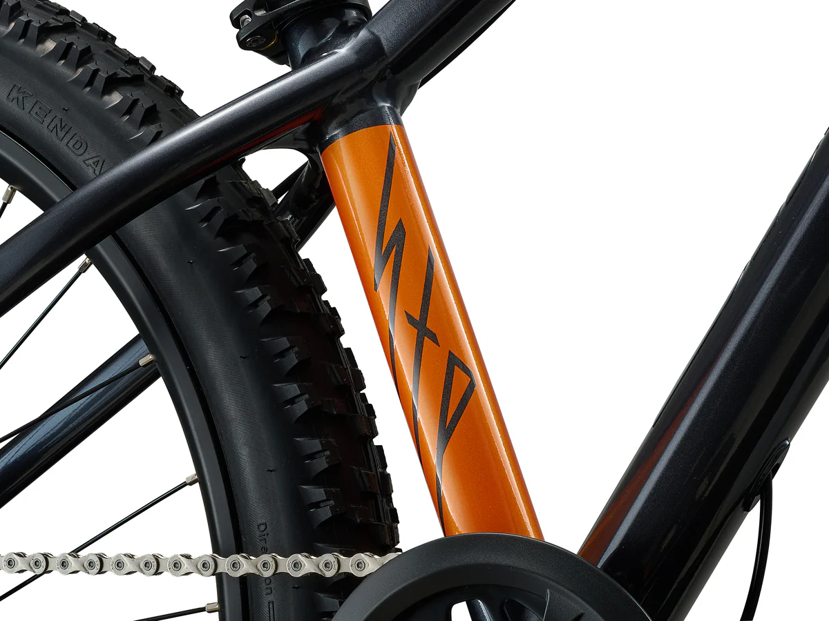 Giant STP 24 Mountain Bike - Black Chrome - Image 3