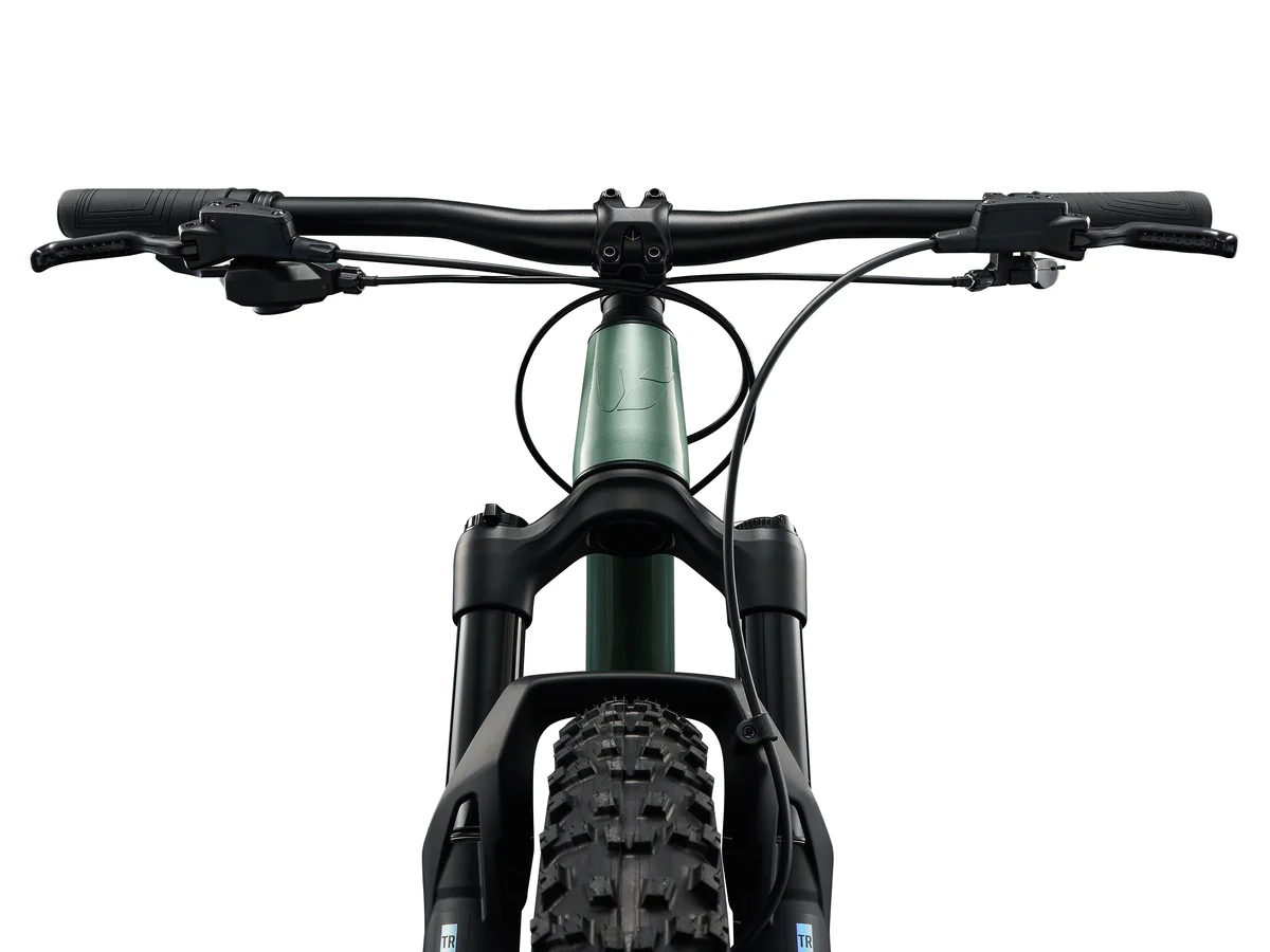 Liv STP 24 Mountain Bike - Alpine Green - Image 3