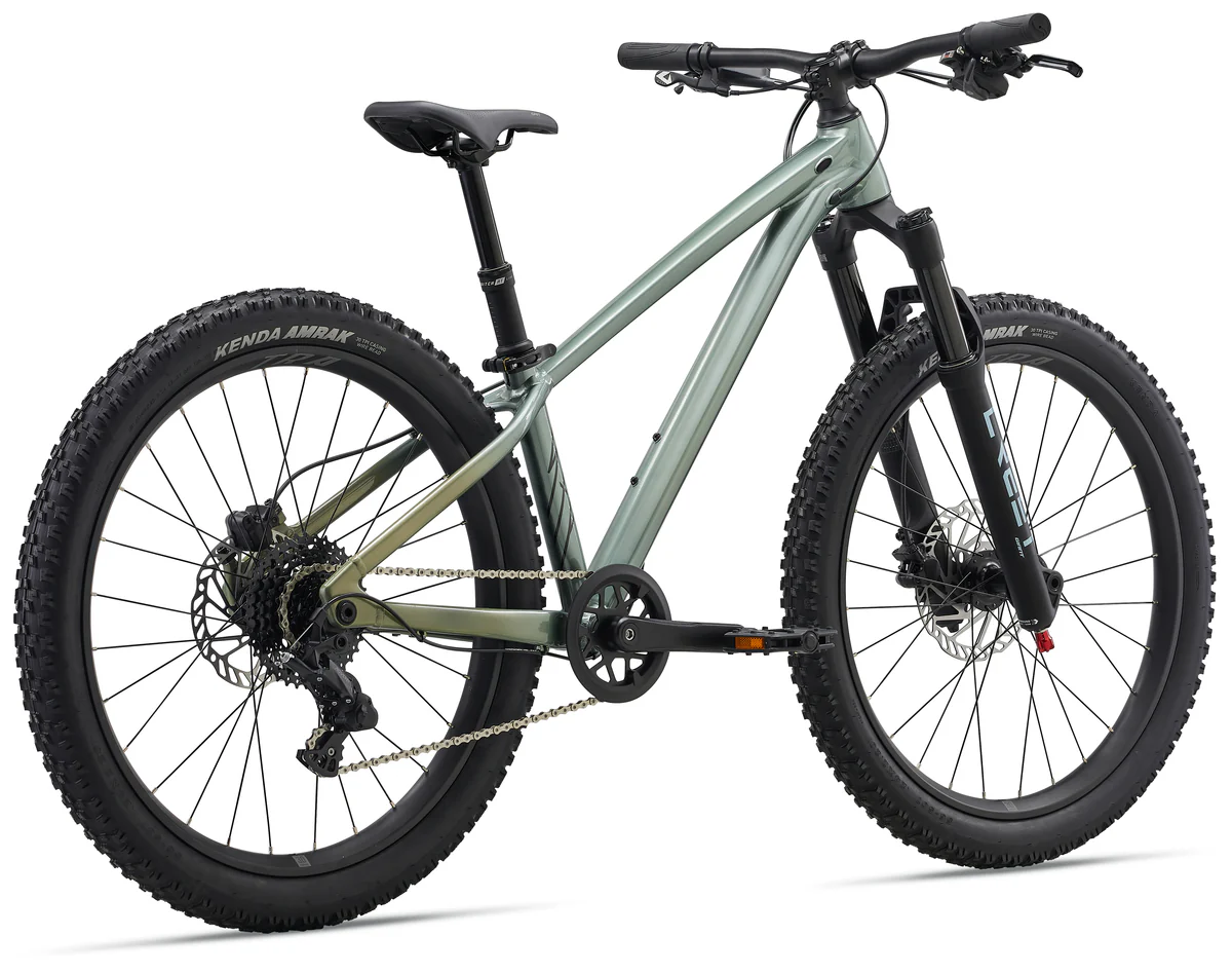 Liv STP 24 Mountain Bike - Alpine Green - Image 5